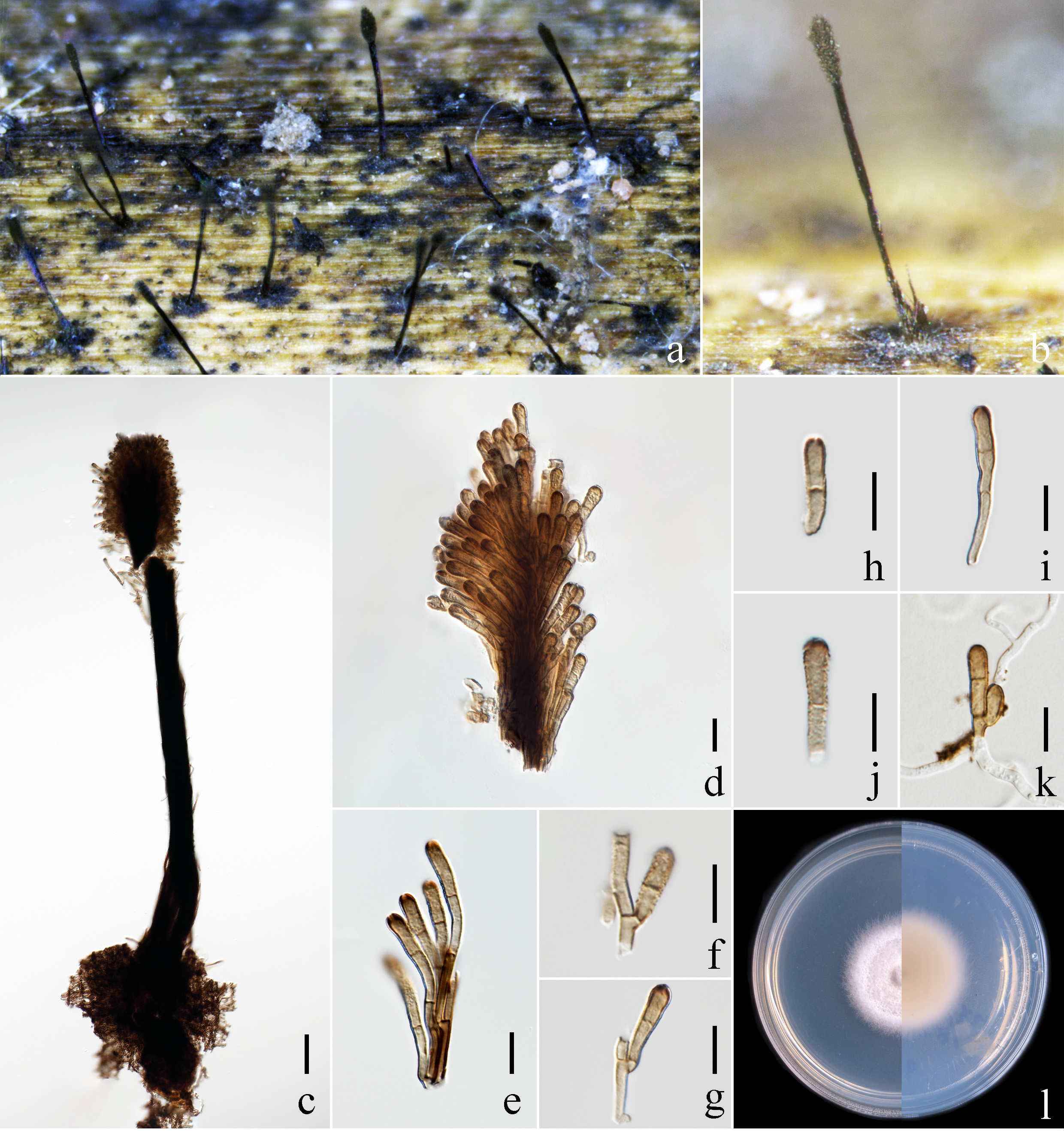 Figure 124